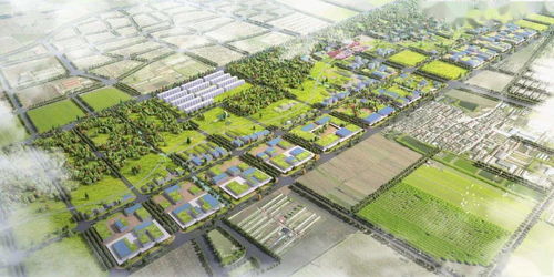 发展好 三区一口岸 ,建设日新月异家园