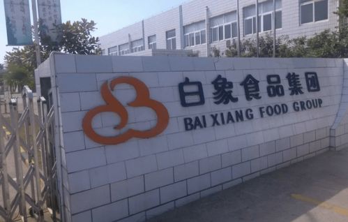 揭秘白象食品的创业史 姚忠良曾向康师傅学习,遗憾错失发展良机