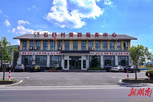 韶山杨林乡 五个振兴 共绘乡村发展 新蓝图