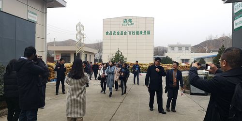 看陕西 游陕西 说陕西 国际视野聚焦魅力陕西