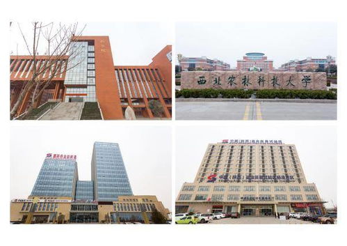 杨凌弘本农业 创新发展五位一体的富硒农产品产业化模式助力扶贫