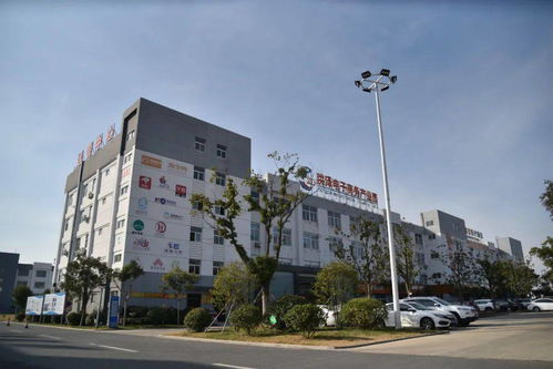 两大三小 农产品 摇旗呐喊 洪泽电商发展迎来 高光时刻